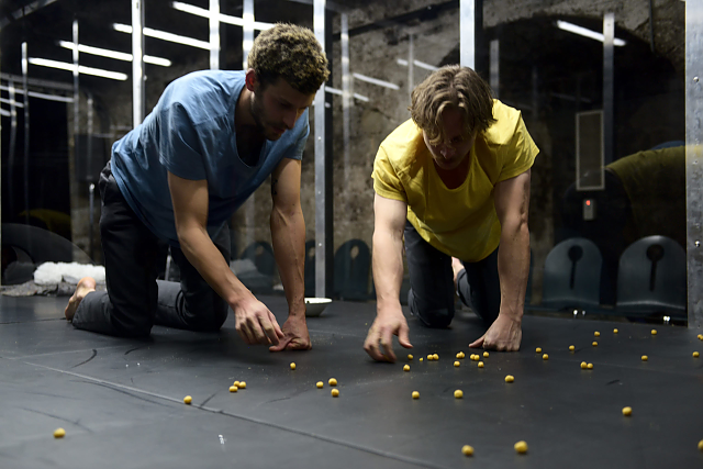 lab-rats-julien-mudry-dsc_8860-scaled.jpg