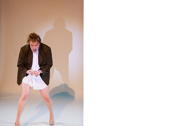 selbstbezichtigung1_reinsperger_ulrike_rindermann_volkstheater.jpg